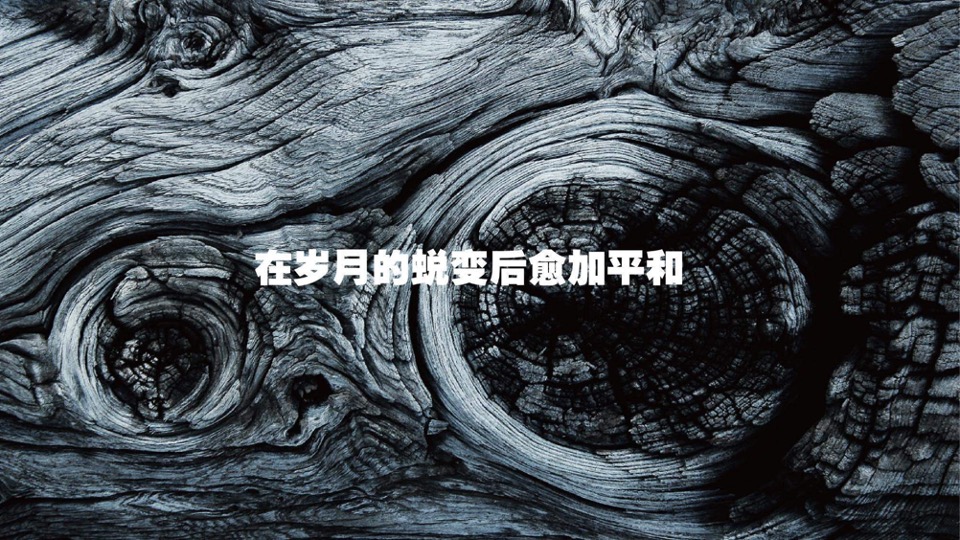 广西保利豪宅线整合传播方案