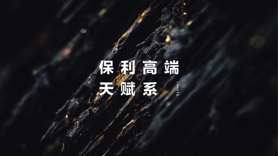 广西保利豪宅线整合传播方案