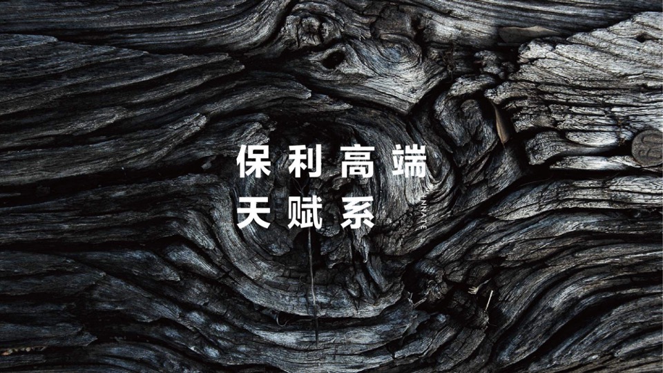 广西保利豪宅线整合传播方案