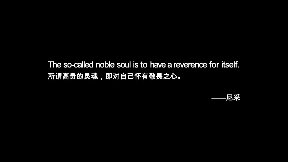 广西保利豪宅线整合传播方案