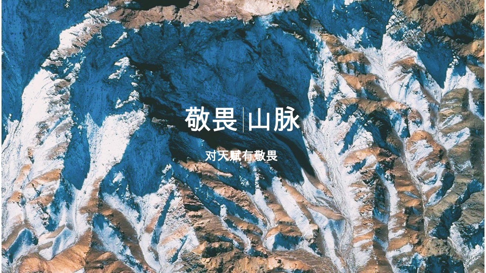 广西保利豪宅线整合传播方案