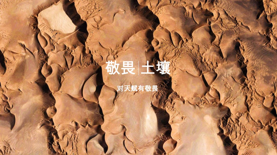 广西保利豪宅线整合传播方案