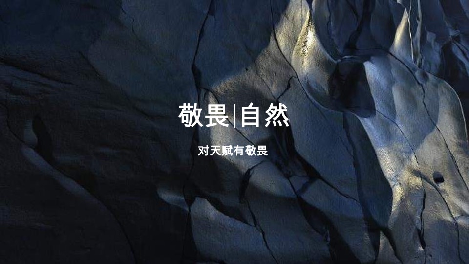 广西保利豪宅线整合传播方案