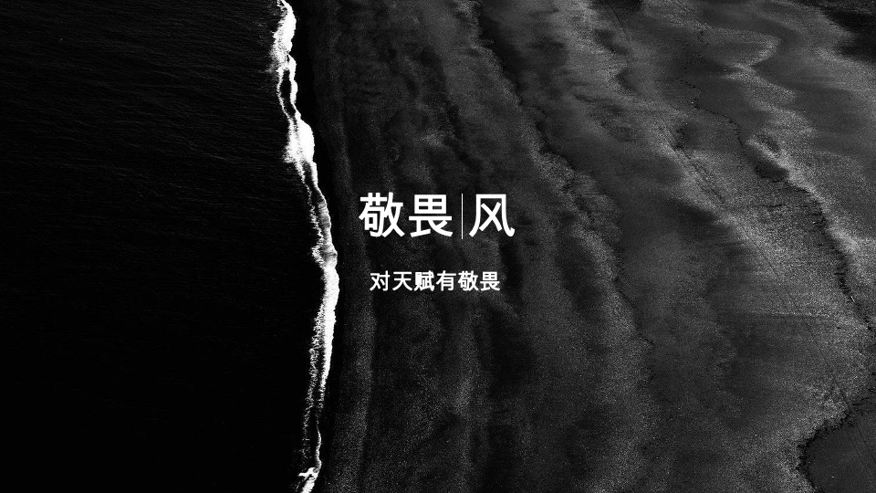 广西保利豪宅线整合传播方案
