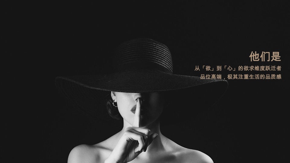 金茂·如意府年度推广提报 #科技住宅# #洋房#