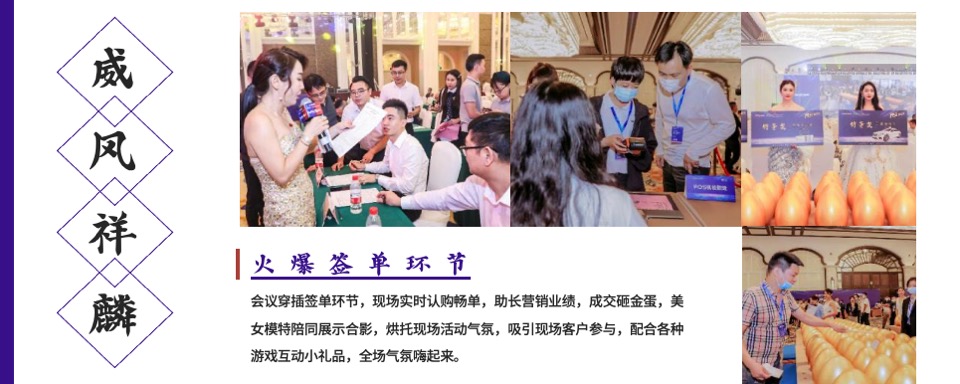 品牌企业年度经销商峰会（突破·WE来主题）活动策划方案