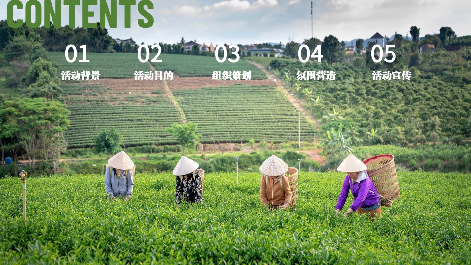 城市首届乡村文化振兴魅力乡镇竞演大赛活动策划方案