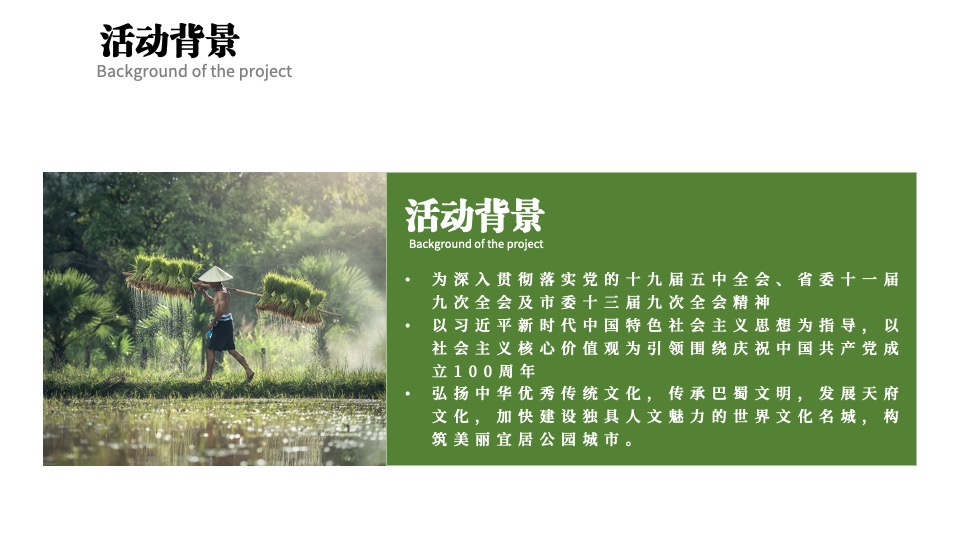 城市首届乡村文化振兴魅力乡镇竞演大赛活动策划方案