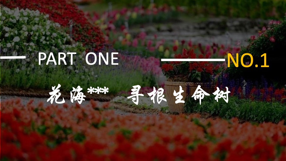 文旅景区春节沉浸式夜游（拾光夜游节 民俗中国年主题）活动策划方案