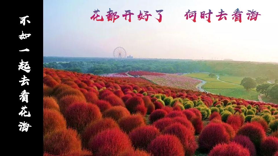 文旅景区春节沉浸式夜游（拾光夜游节 民俗中国年主题）活动策划方案