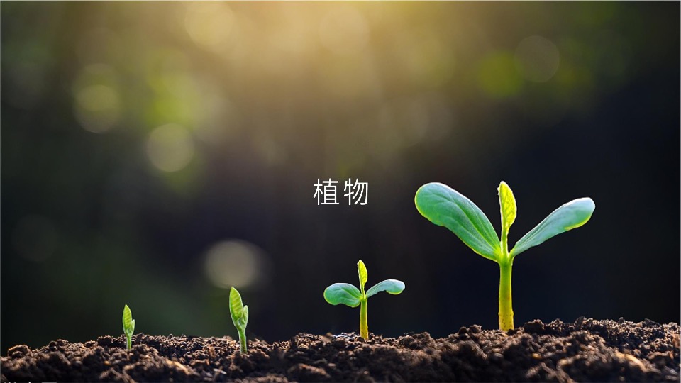 成都新希望地产客户关系传播方案#社群运营#