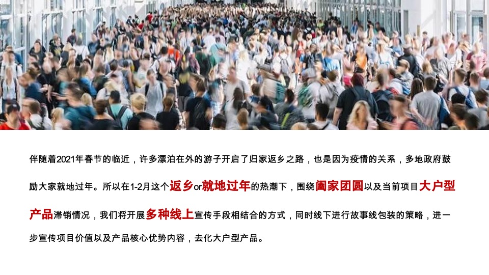 绿地·雲上府返乡置业 2月推广策略报告