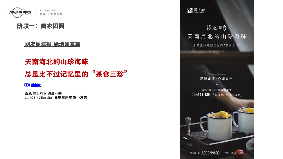 绿地·雲上府返乡置业 2月推广策略报告