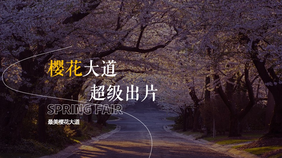 地产项目樱花集市暨样板间开放（樱花下 白麓集主题）活动策划方案