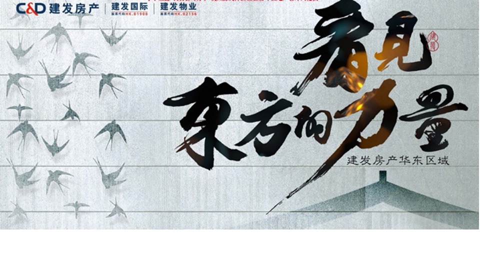 建发华东年度推广策略提报 #区域品牌#