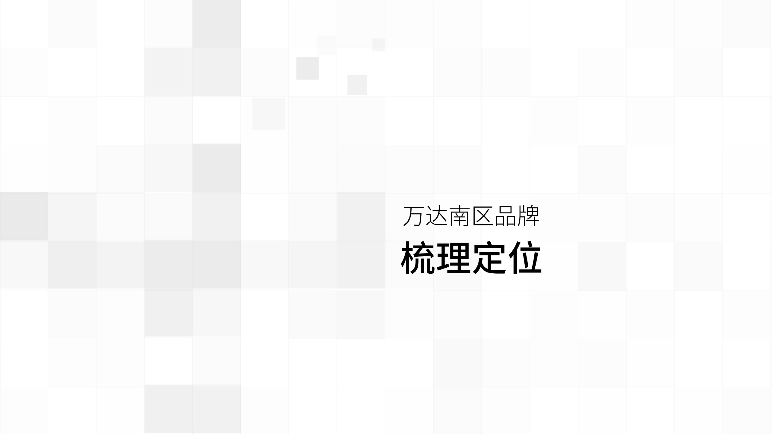 万达南区年度推广策略提报 #区域品牌#