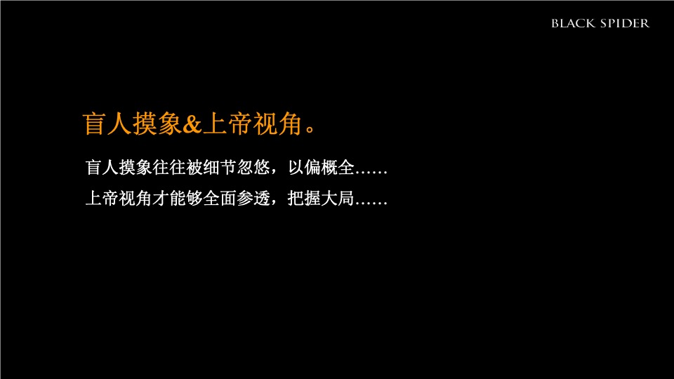 湖南青旅湘潭十八总文旅产业综合体整合推广提案-黑之蛛