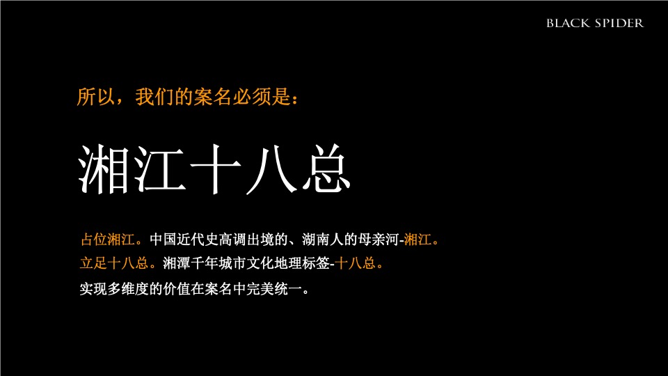 湖南青旅湘潭十八总文旅产业综合体整合推广提案-黑之蛛