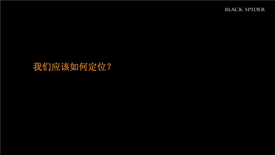 湖南青旅湘潭十八总文旅产业综合体整合推广提案-黑之蛛