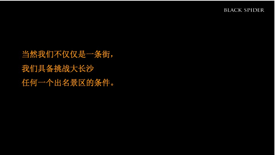 湖南青旅湘潭十八总文旅产业综合体整合推广提案-黑之蛛