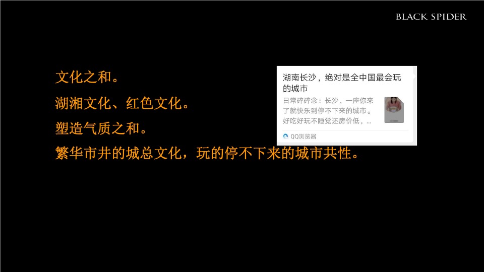 湖南青旅湘潭十八总文旅产业综合体整合推广提案-黑之蛛