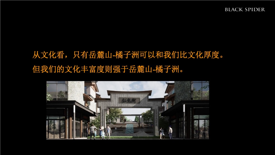 湖南青旅湘潭十八总文旅产业综合体整合推广提案-黑之蛛