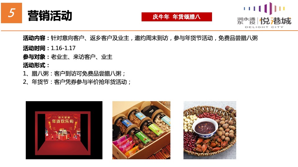 东投·悦港城1-2月春节返乡营销策略案
