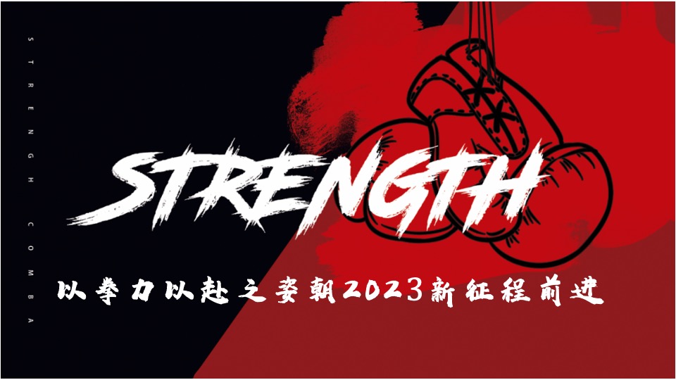 公司年会盛典（拳力以赴·激战新章主题）活动策划方案