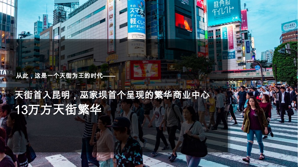 龙湖天璞年度推广策略提报 #红盘# #商办#