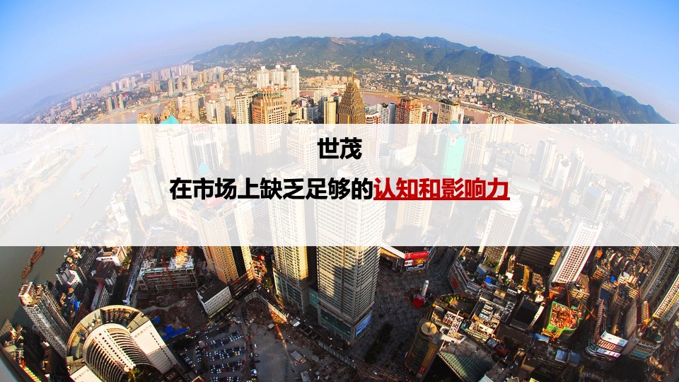 重庆世茂2020品牌年度思路沟通