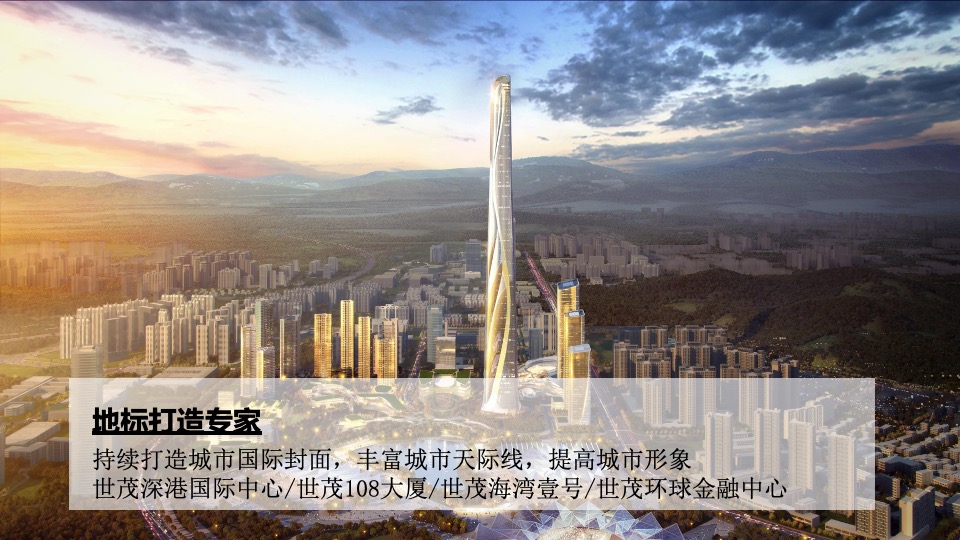 重庆世茂2020品牌年度思路沟通