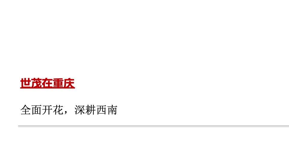 重庆世茂2020品牌年度思路沟通