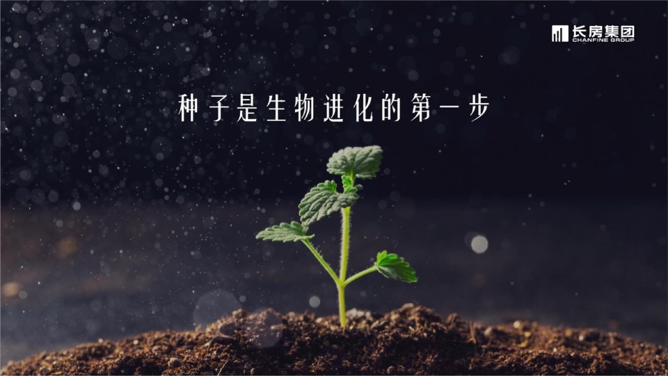 长房集团品牌2020年度推广全案