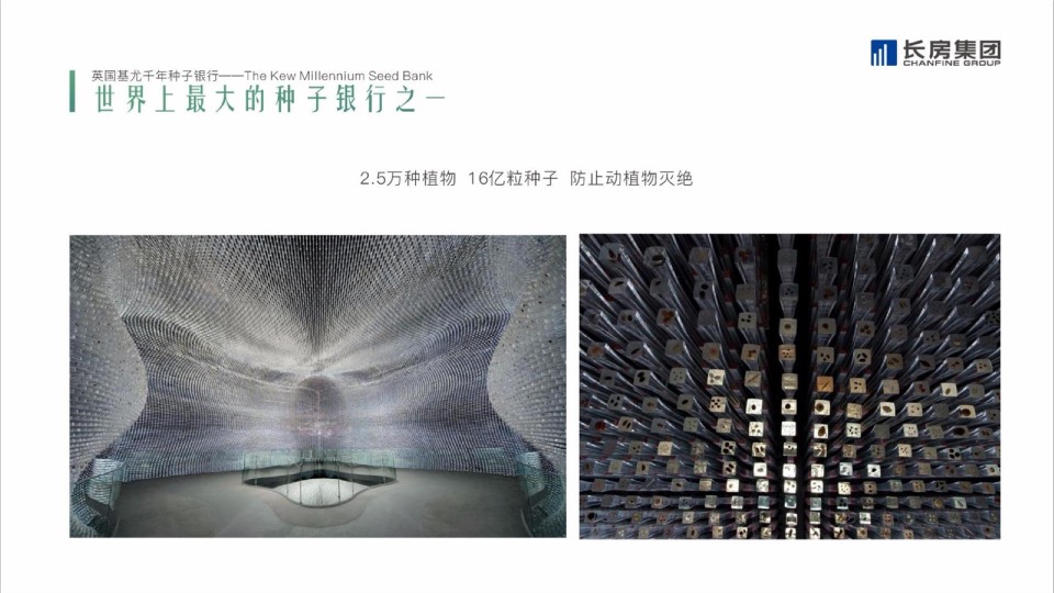 长房集团品牌2020年度推广全案