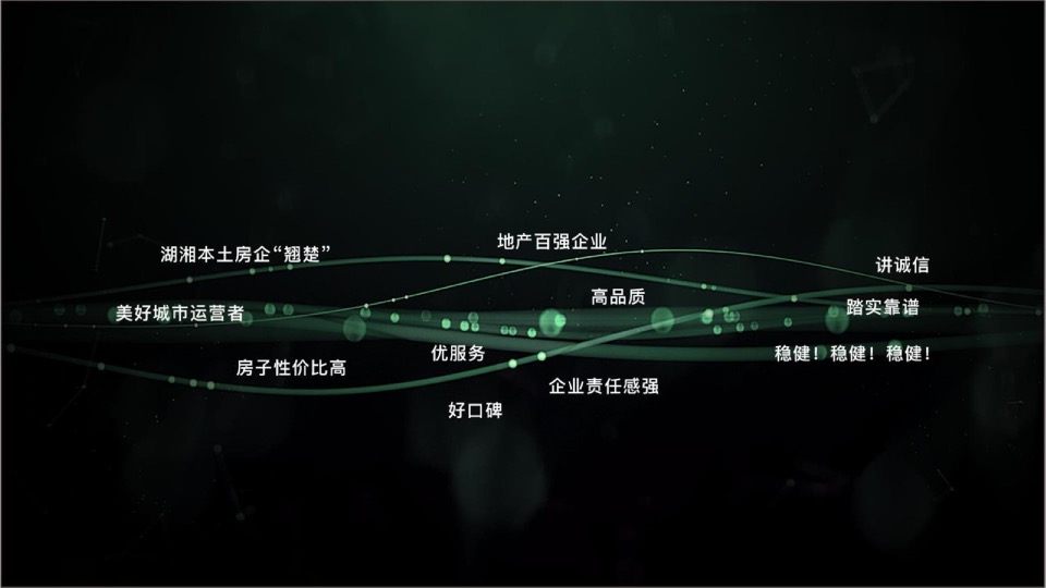 长房集团品牌2020年度推广全案