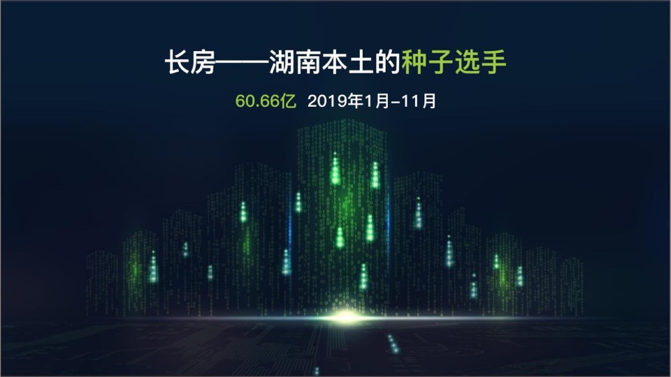 长房集团品牌2020年度推广全案