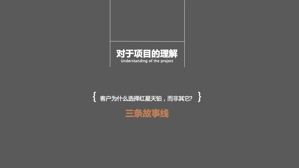 红星天铂年度传播方案-褐石昆明