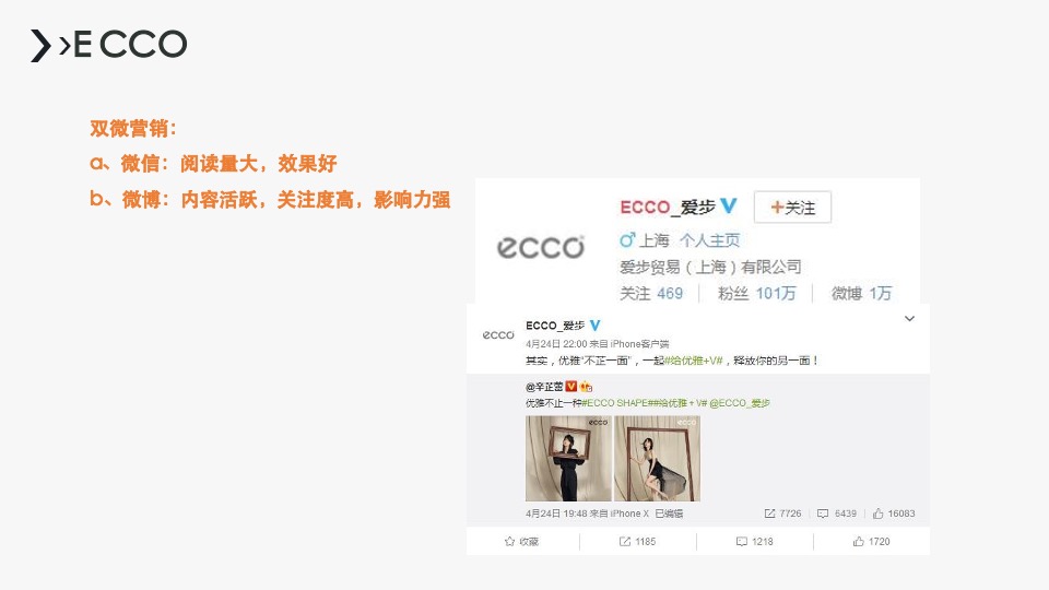 MEPHISTO（鞋）品牌线上全网整合传播计划书