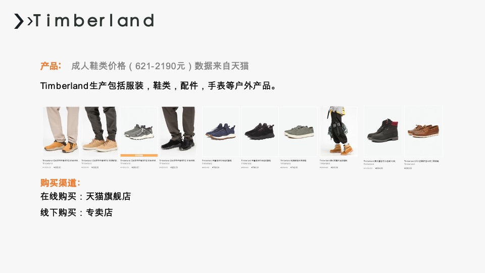 MEPHISTO（鞋）品牌线上全网整合传播计划书