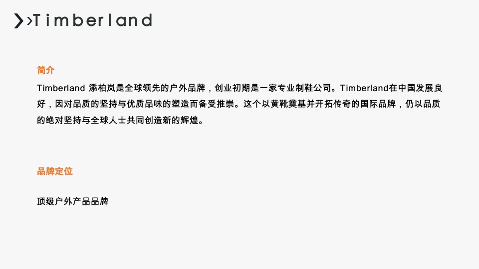 MEPHISTO（鞋）品牌线上全网整合传播计划书