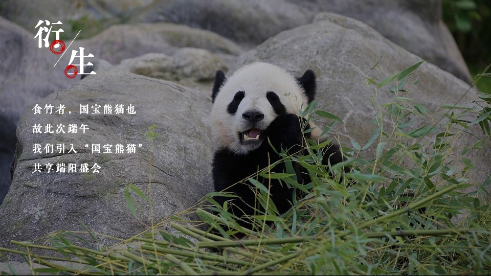 地产项目端午节熊猫主题（国潮端午 国宝来袭）活动策划方案