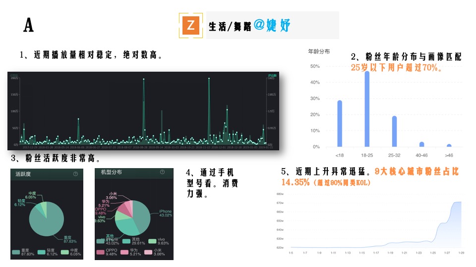 自如品牌年度新媒体整合营销方案