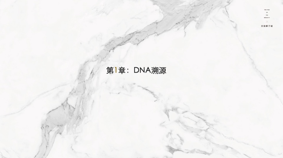 北京京南狮子城年度推广方案