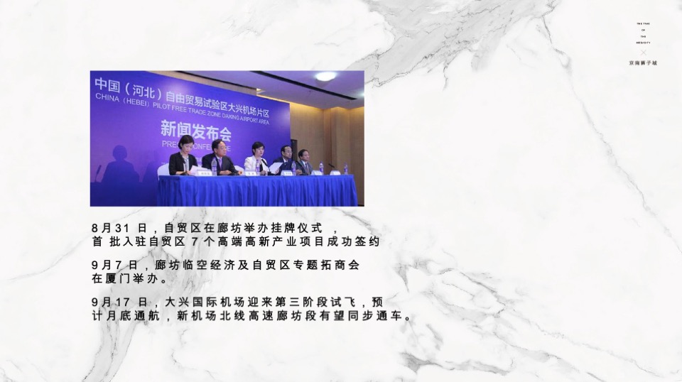 北京京南狮子城年度推广方案