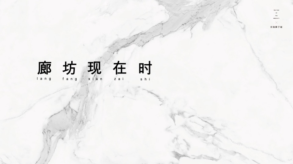 北京京南狮子城年度推广方案