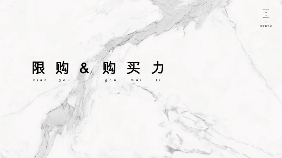 北京京南狮子城年度推广方案