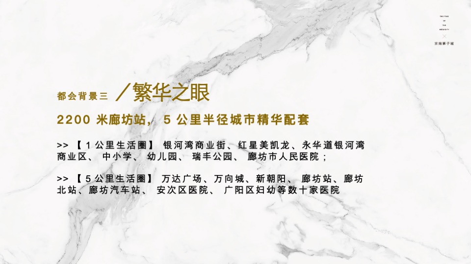 北京京南狮子城年度推广方案