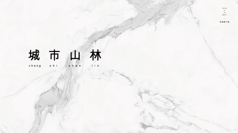 北京京南狮子城年度推广方案