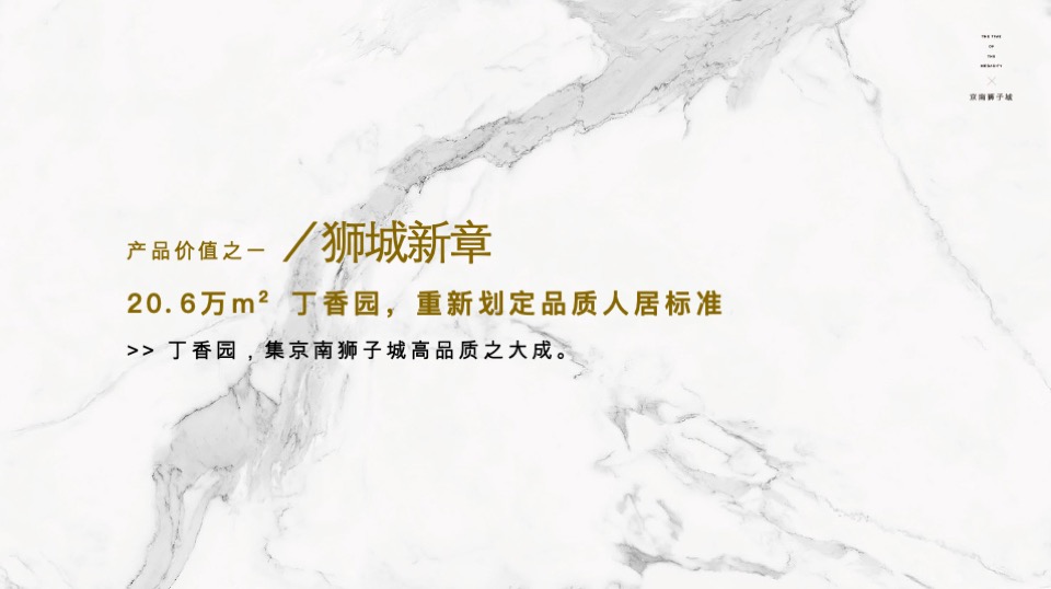 北京京南狮子城年度推广方案