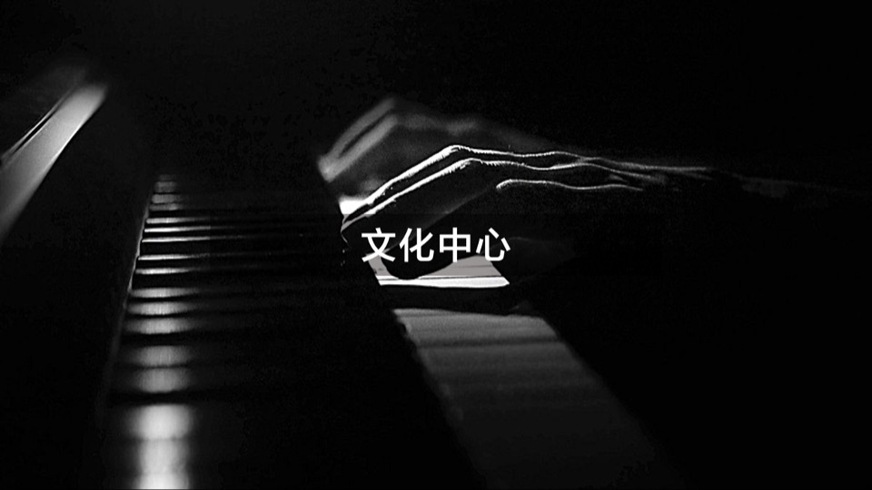 大同富力城年度整合推广方案